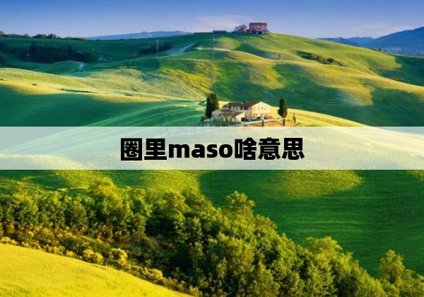 圈里maso啥意思