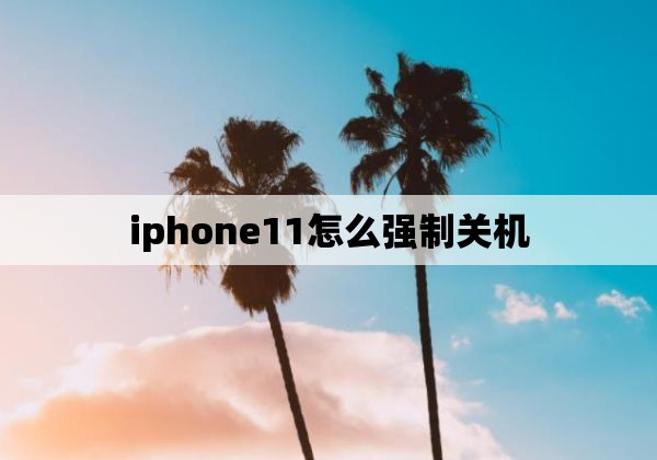 iphone11怎么强制关机