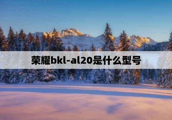 荣耀bkl-al20是什么型号