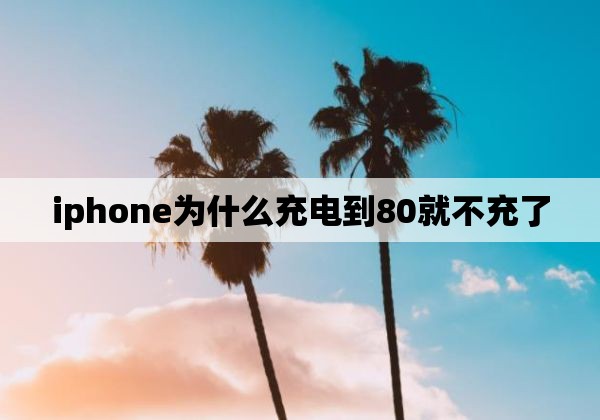 iphone为什么充电到80就不充了