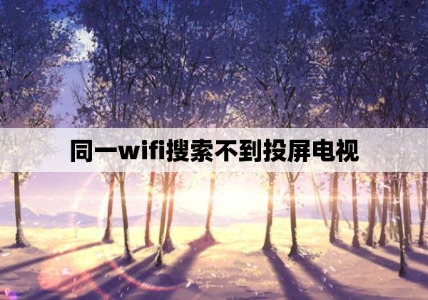 同一wifi搜索不到投屏电视