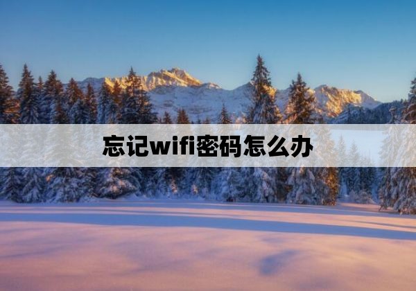 忘记wifi密码怎么办