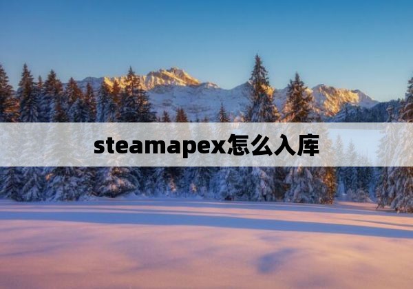 steamapex怎么入库