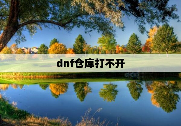 dnf仓库打不开