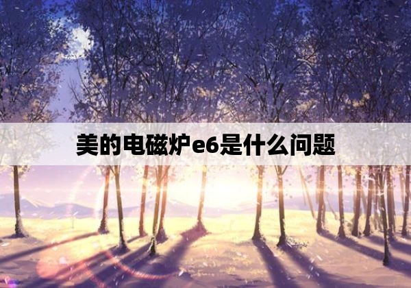 美的电磁炉e6是什么问题