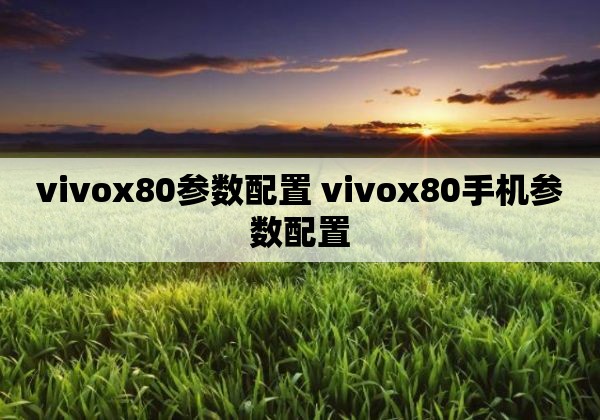 vivox80参数配置 vivox80手机参数配置