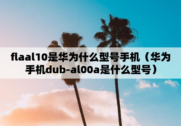 flaal10是华为什么型号手机（华为手机dub-al00a是什么型号）