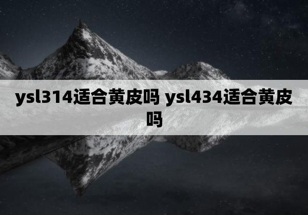 ysl314适合黄皮吗 ysl434适合黄皮吗