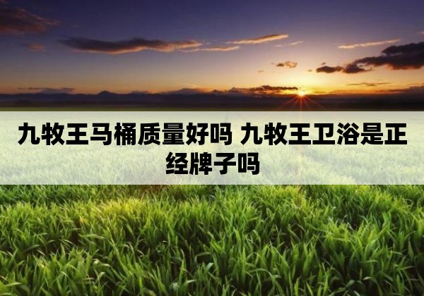 九牧王马桶质量好吗 九牧王卫浴是正经牌子吗