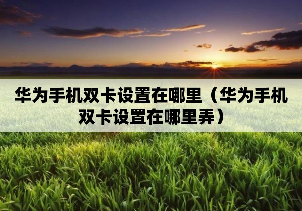 华为手机双卡设置在哪里（华为手机双卡设置在哪里弄）