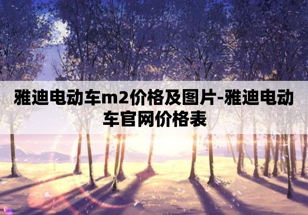 雅迪电动车m2价格及图片-雅迪电动车pg电子直营店官网价格表