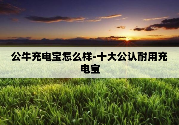 公牛充电宝怎么样-十大公认耐用充电宝