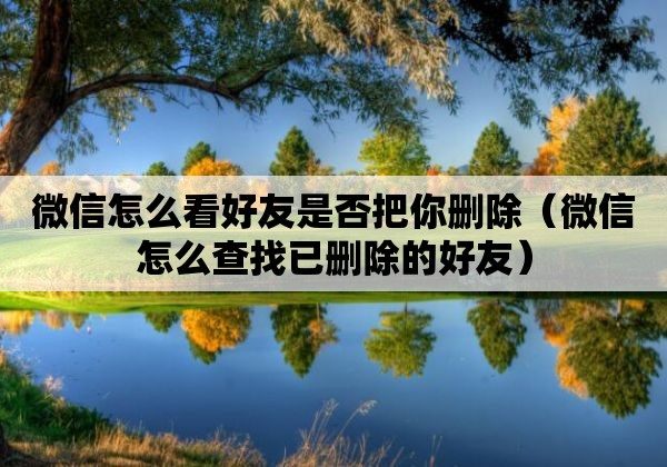 微信怎么看好友是否把你删除（微信怎么查找已删除的好友）