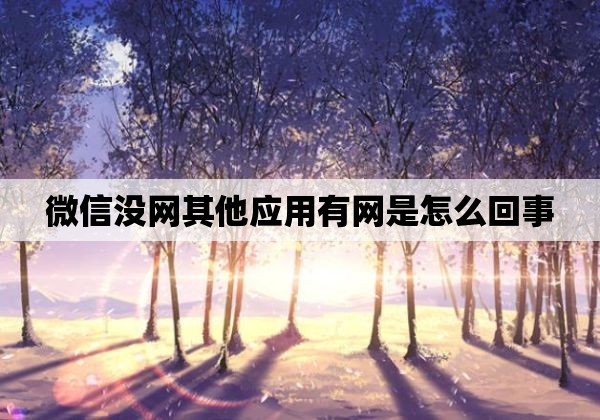 微信没网其他应用有网是怎么回事